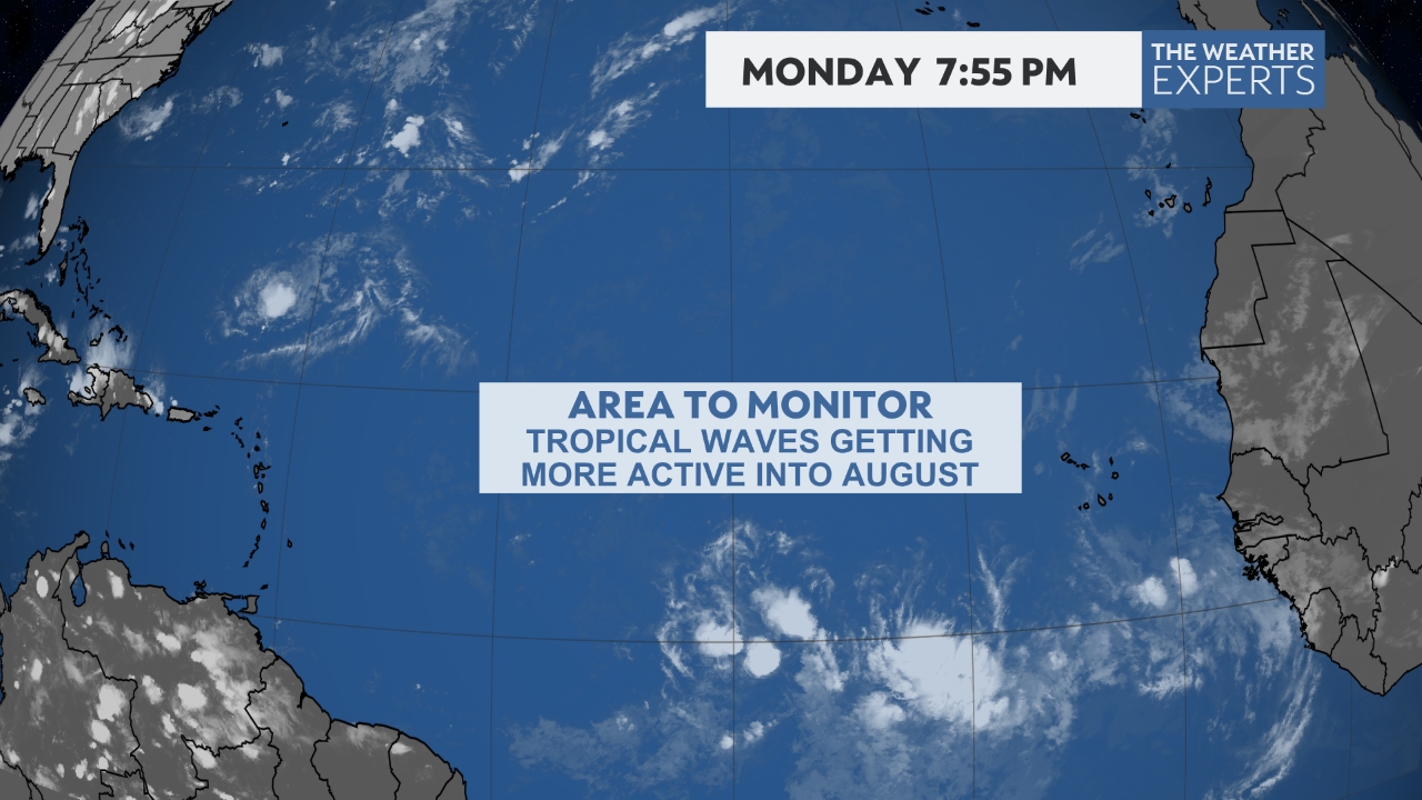 Florida hurricane season 2023: What you need on your storm supply list