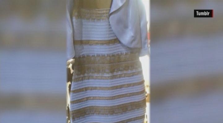 What Color is This Dress? Doctor Explains the Science Behind the Viral  Phenomenon