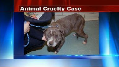 Woman arrested on animal cruelty charges