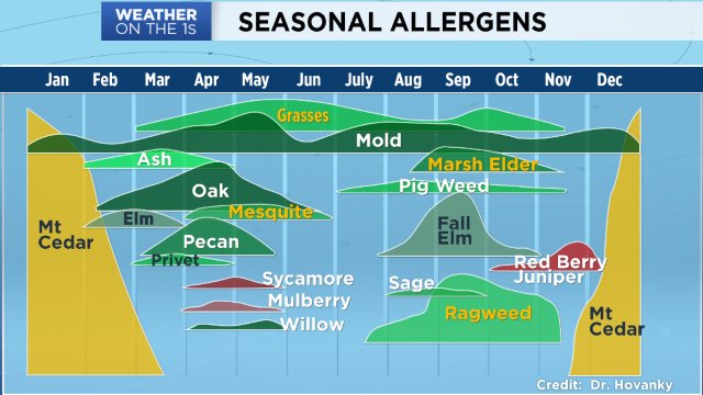 Allergy  Austin  Spectrum News 1